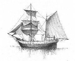 TR - Mar Neo - gagali